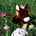 Plyšový koník Horse Alezan Les Petits Nomades Histoire d’ Ours hnedý 25 cm v slamenom košíku od 0 mes