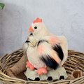 Plyšová sliepočka Les Poulettes Histoire d’ Ours béžová 20 cm od 0 mes