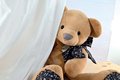 Plyšový medvedík Bear Light Brown Copain Calin Histoire d’ Ours hnedý 60 cm od 0 mes