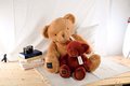 Plyšový medvedík Hazelnut Le Nounours Histoire d’ Ours hnedý 28 cm od 0 mes