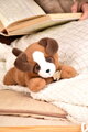 Plyšový psík s ťažkým bruškom P'tit Relax Brown Dog Histoire d’ Ours hnedý 22 cm od 0 mes