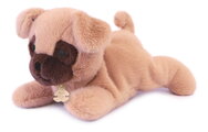 Plyšový psík s ťažkým bruškom P'tit Relax Beige Dog Histoire d’ Ours béžový 22 cm od 0 mes