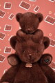 Plyšový medvedík Clémentin Choco Cranberries Histoire d’ Ours hnedý 38 cm od 0 mes