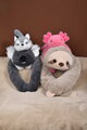 Plyšová koala na objímanie Koala Weighted Plush Toy The Glue Pots Histoire d’ Ours sivá 75 cm od 24 mes HO3431