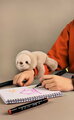 Plyšový leňochod na zápästie Sloth Bracelet Slap The Glue Pots Histoire d’ Ours hnedý 25 cm od 24 mes HO3414