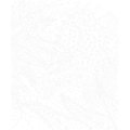 Maxi kreatívna sada Maľovanie s číslami Dinosaury Paint by Numbers Watercolor Dinosaurs Atelier Janod 2 obrázky od 7 rokov J07982