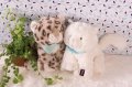 Plyšový leopard Cookie Les Amis-Leopard Kaloo 25 cm v darčekovom balení pre najmenších