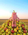 Plyšová príšerka s hruškou Britney Pear MIAM! Doudou et Compagnie ružová 60 cm od 0 mes KI4617