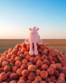 Plyšová príšerka s broskyňou Taylor Peach MIAM! Doudou et Compagnie ružová 60 cm od 0 mes KI4620