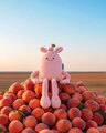 Plyšová príšerka s broskyňou Taylor Peach MIAM! Doudou et Compagnie ružová 60 cm od 0 mes KI4620