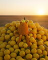 Plyšová príšerka s citrónom John Lemon MIAM! Doudou et Compagnie oranžová 60 cm od 0 mes KI4623