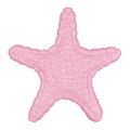 Piatra de echilibru pentru întărirea labei piciorului și a echilibrului Stea de mare mică MUFFIK galben pastel