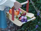 Drevený košík na zbieranie lesných plodov Wild Wood Forgaing Trug Tender Leaf Toys s hríbikmi jabĺčkami jahodami