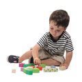 Drevené kocky lesná škôlka Nursery Blocks Tender Leaf Toys s maľovanými obrázkami a funkciami 12 dielov od 18 mes